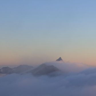 ウォーターメロン