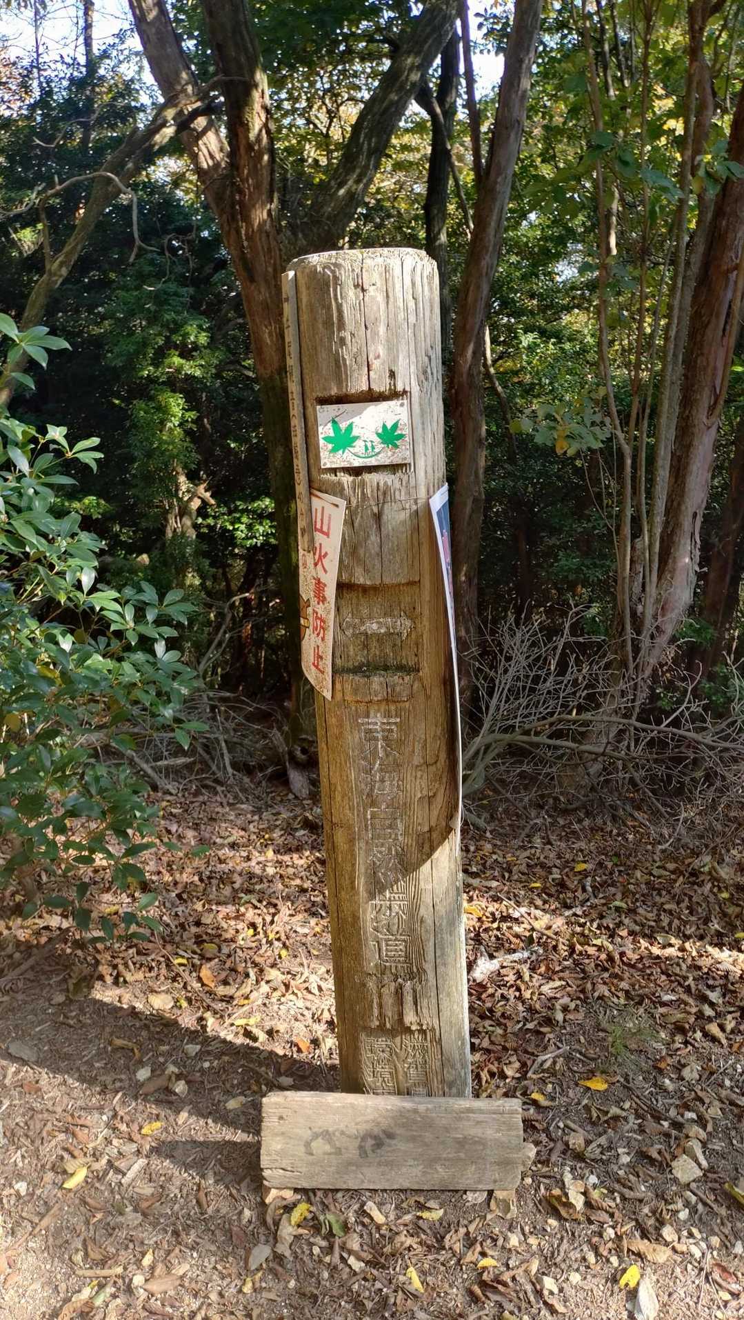 牛尾山
山頂プレート見つからず