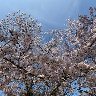 降ってきそう～