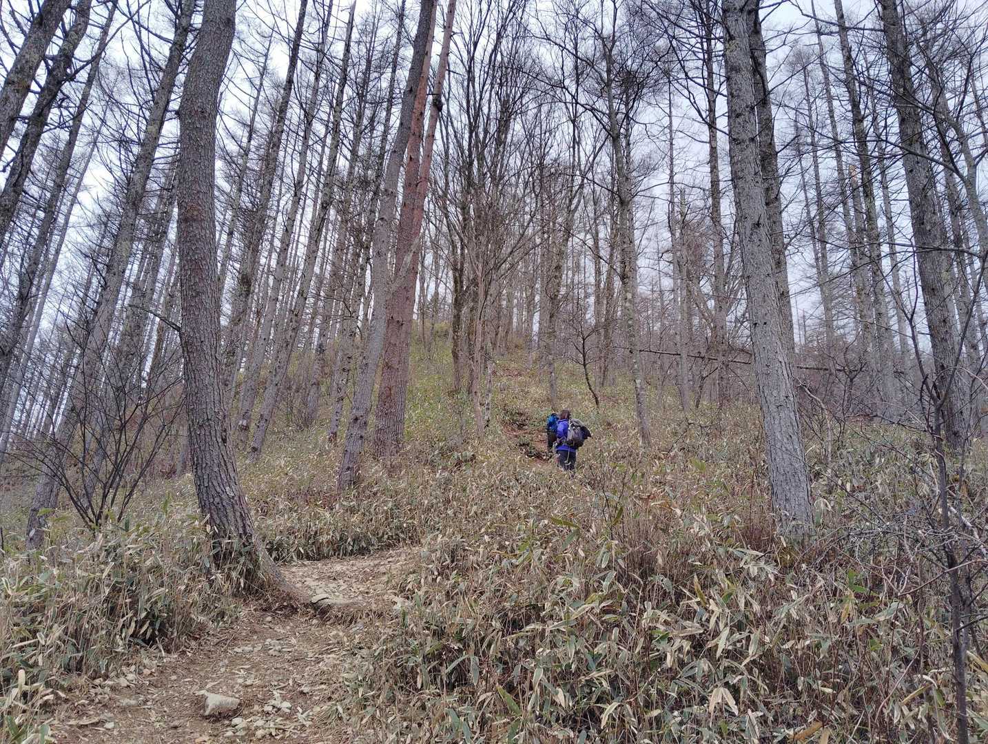 守屋山登山道入口-守屋神社奥宮-守屋山 往復コースの写真