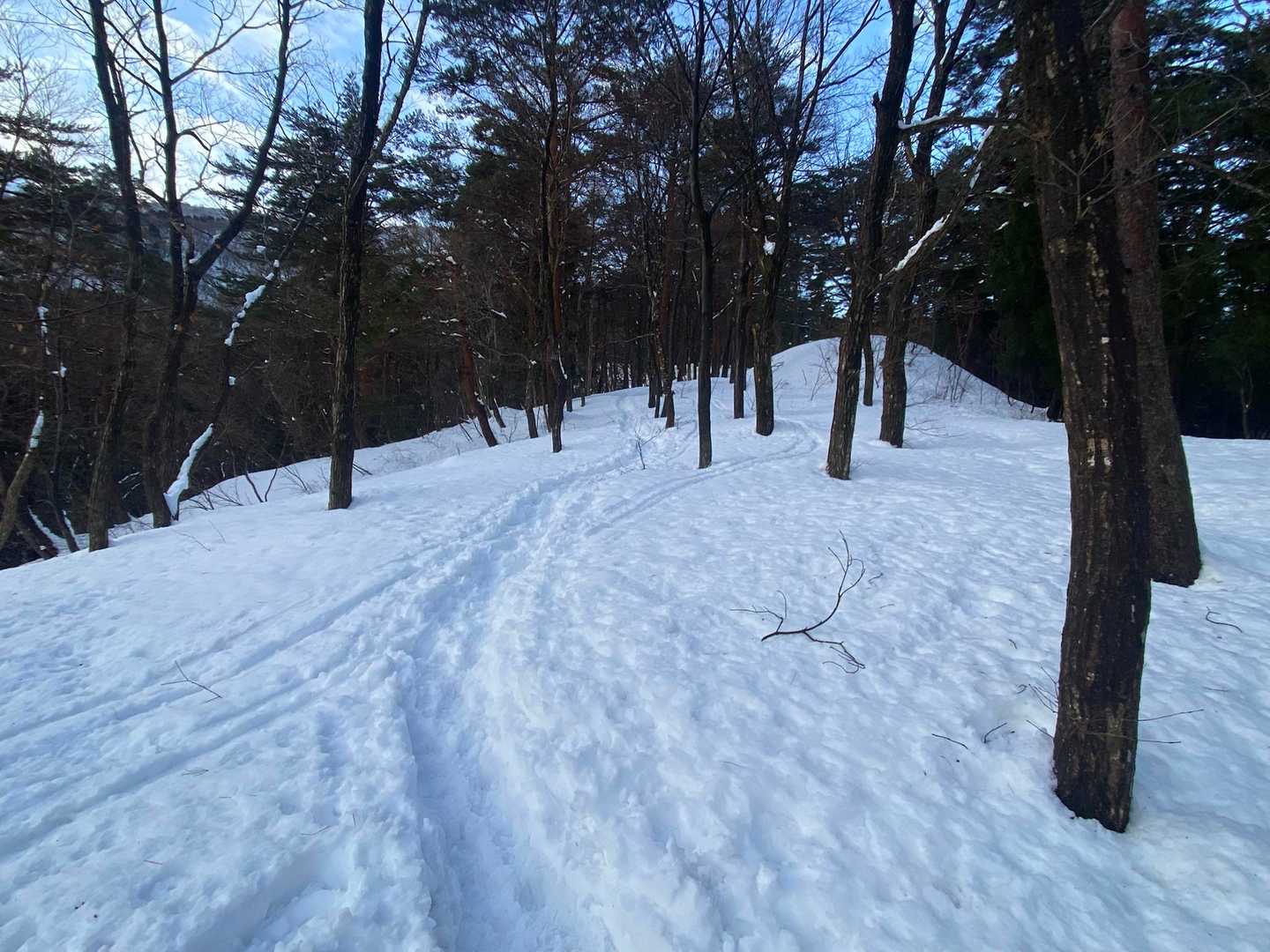 静かな雪道😌✨落ち着く