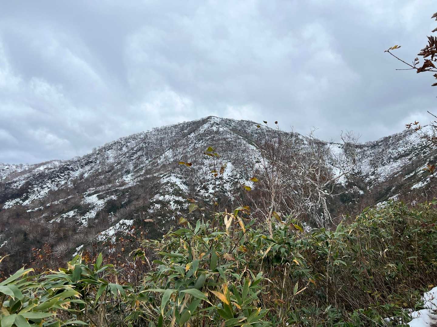 神居尻山

雪❄️どのくらいあるかな❓
