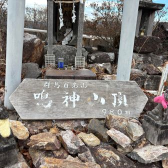 小さな狐様もマフラー🧣