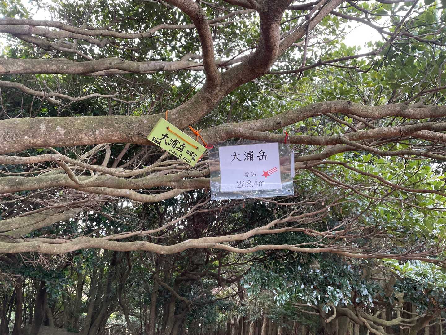大浦岳の写真