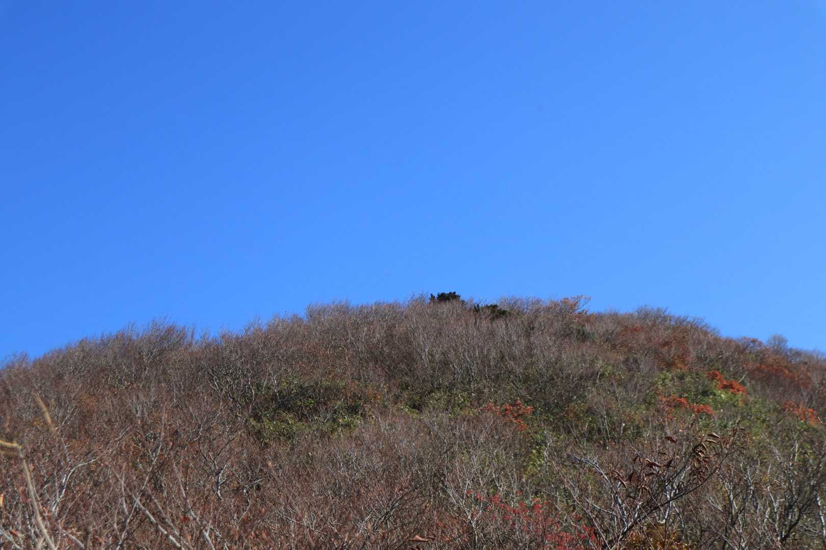 翁山が見えてきました