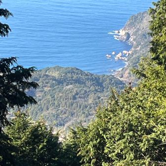 レンズの限界😵
惣郷橋梁の端っこ