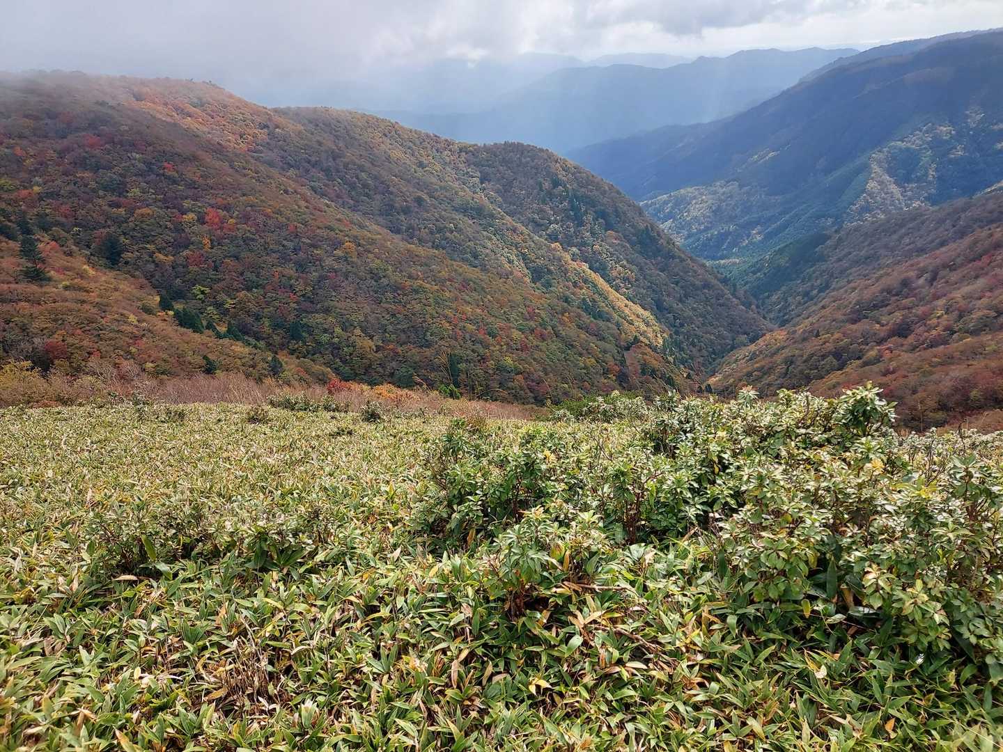 生野高原登山口-達磨ヶ峰-フトウガ峰-段ヶ峰 往復コースの写真