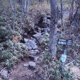 #𝕤𝕥𝕒𝕣𝕥➘