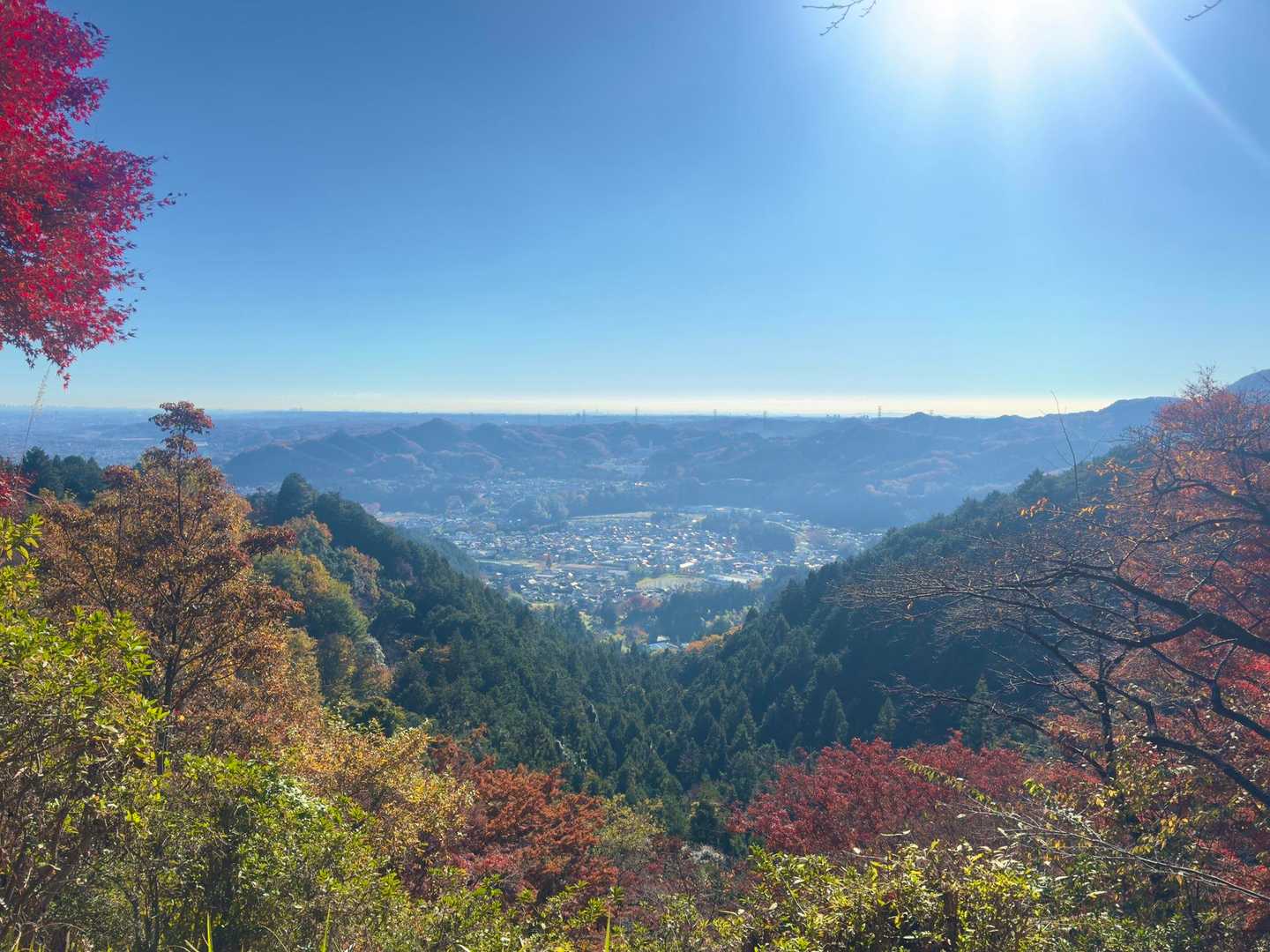 金毘羅山の展望台手前のベンチから。今日は紅葉が額縁みたい。