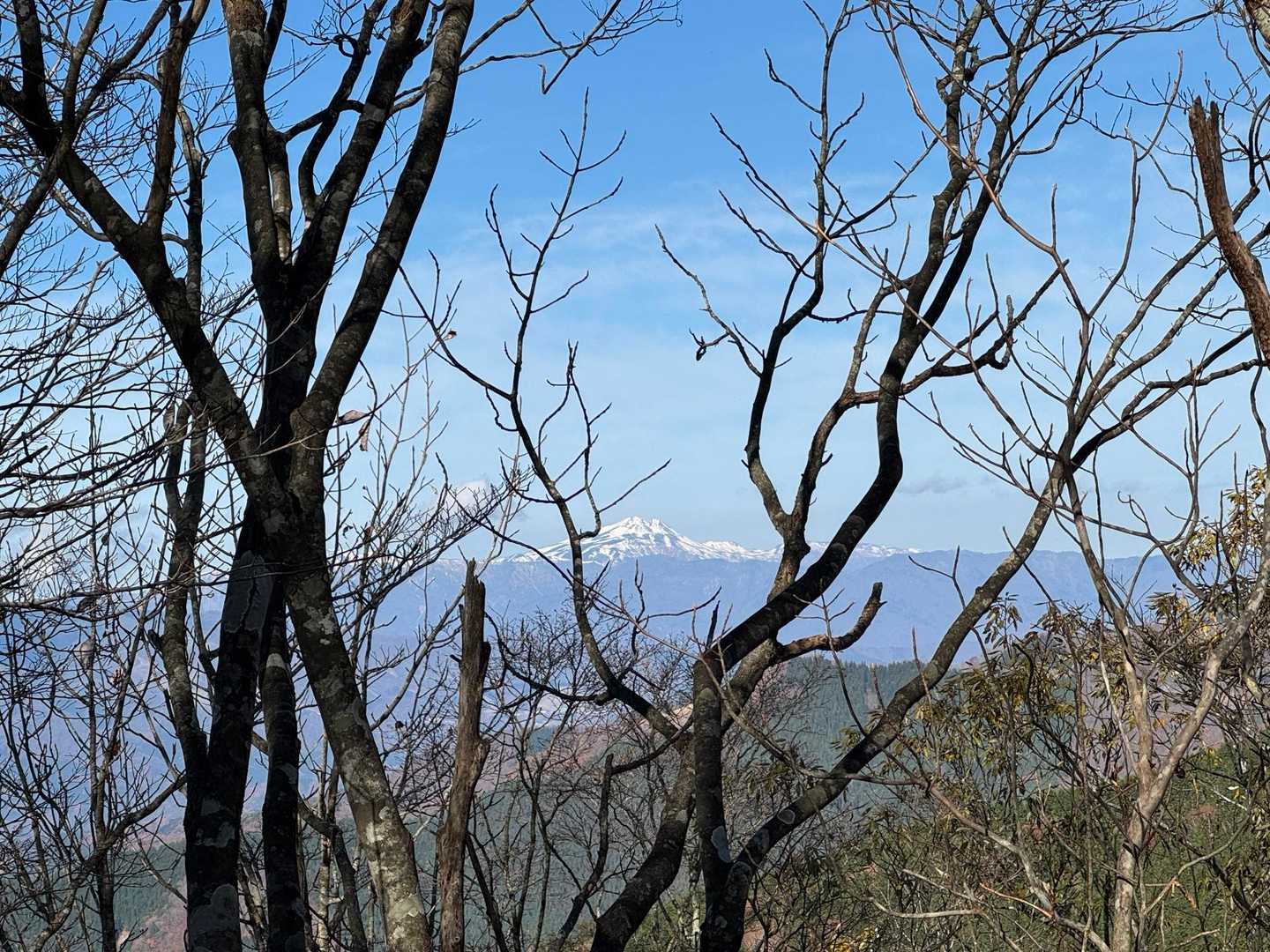 母袋烏帽子岳 往復コースの写真