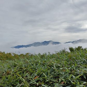雲が流れて、白山がみえました