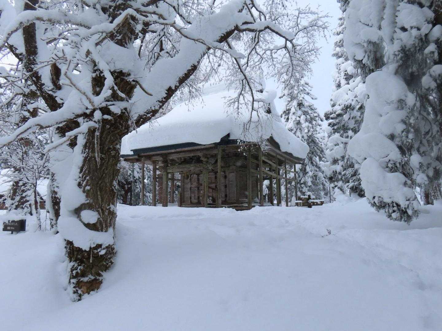 巻道で帰ります