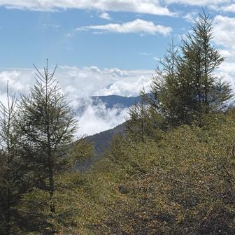 雲の中に富士山がかすかに…