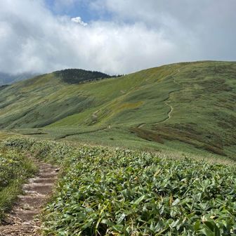 巻機山、標識なくスルー😅あれ？