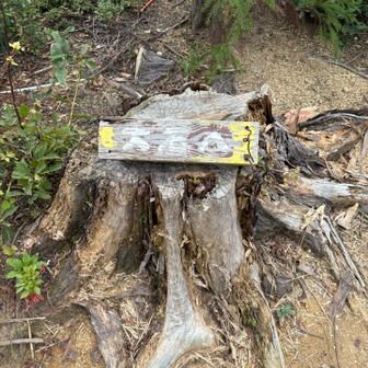 大石登山口・大中登山口分岐点