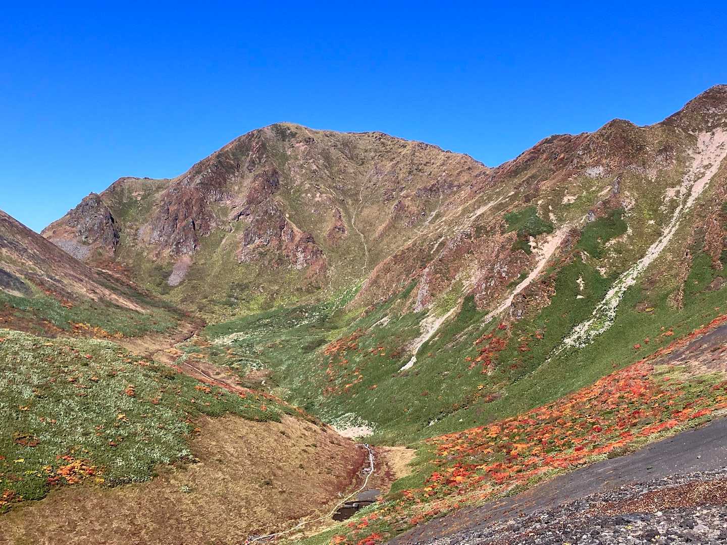 秋田駒ケ岳八合目登山口-横岳-駒池 周回コースの写真