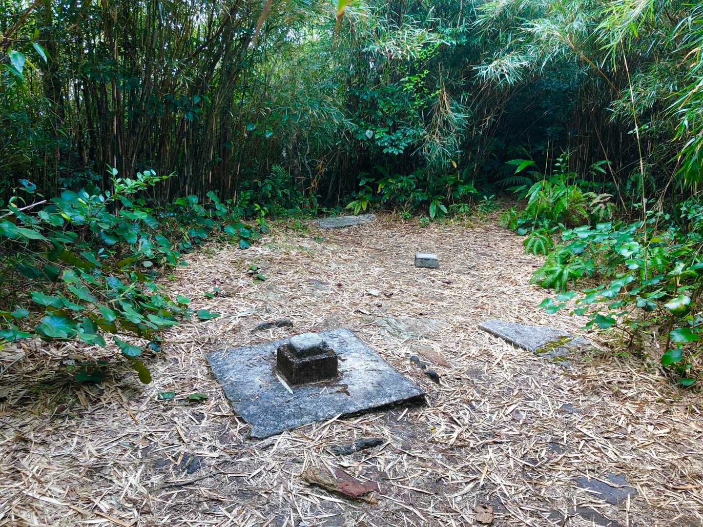 与那覇岳頂上⛰️展望ゼロ🙅‍♂️