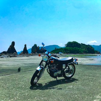トレフォドライダー
