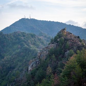 鉄塔が本日の目的地