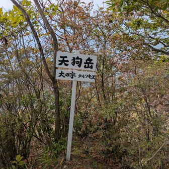 天狗岳山頂。
標高1084m