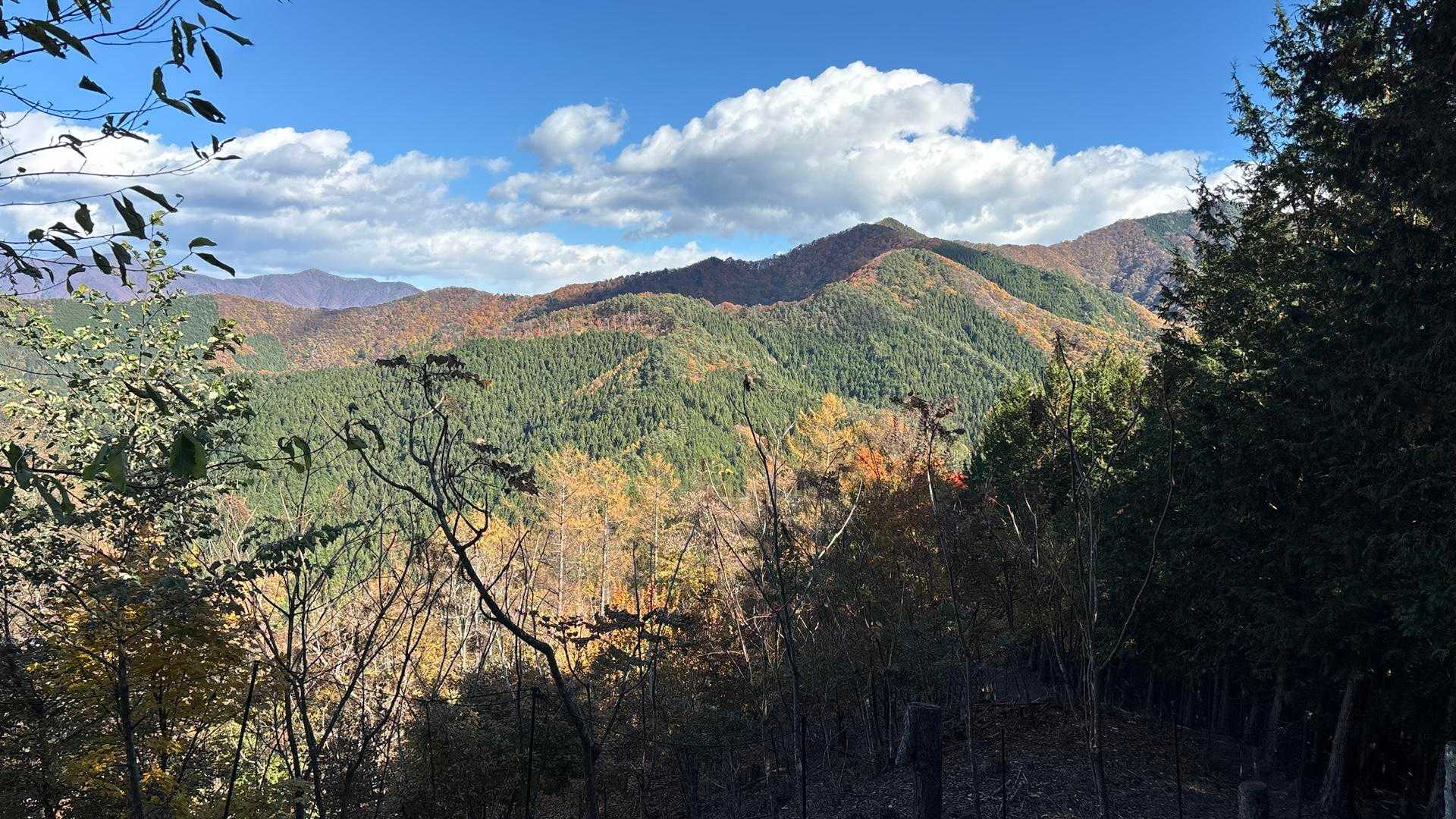 鶴峠-奈良倉山-牛ノ寝・大菩薩峠登山口-松姫峠-鶴寝山 往復コースの写真