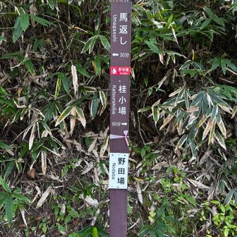 看板はたくさんあり、迷う心配は少ないです
