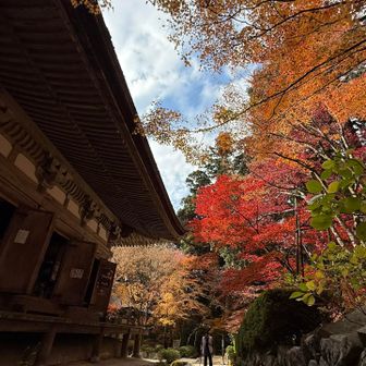 サクッとのお参りに申し訳がなくって…
先を急ぐのでごめんなさい🙏🏽