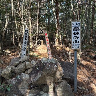 登頂した山は、60となりました