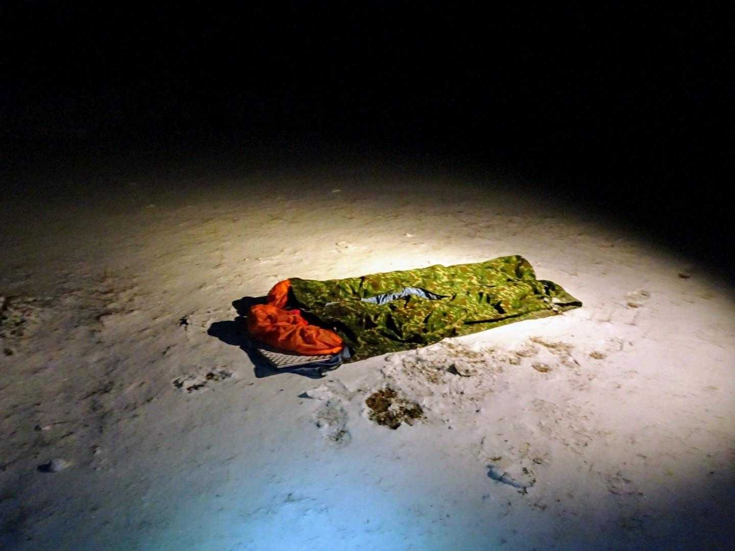 避難小屋の広場に誰かさんの抜け殻😓