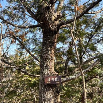 オキ山❣️