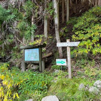 降りてきました❗️
ここからしばらく舗装道路歩き