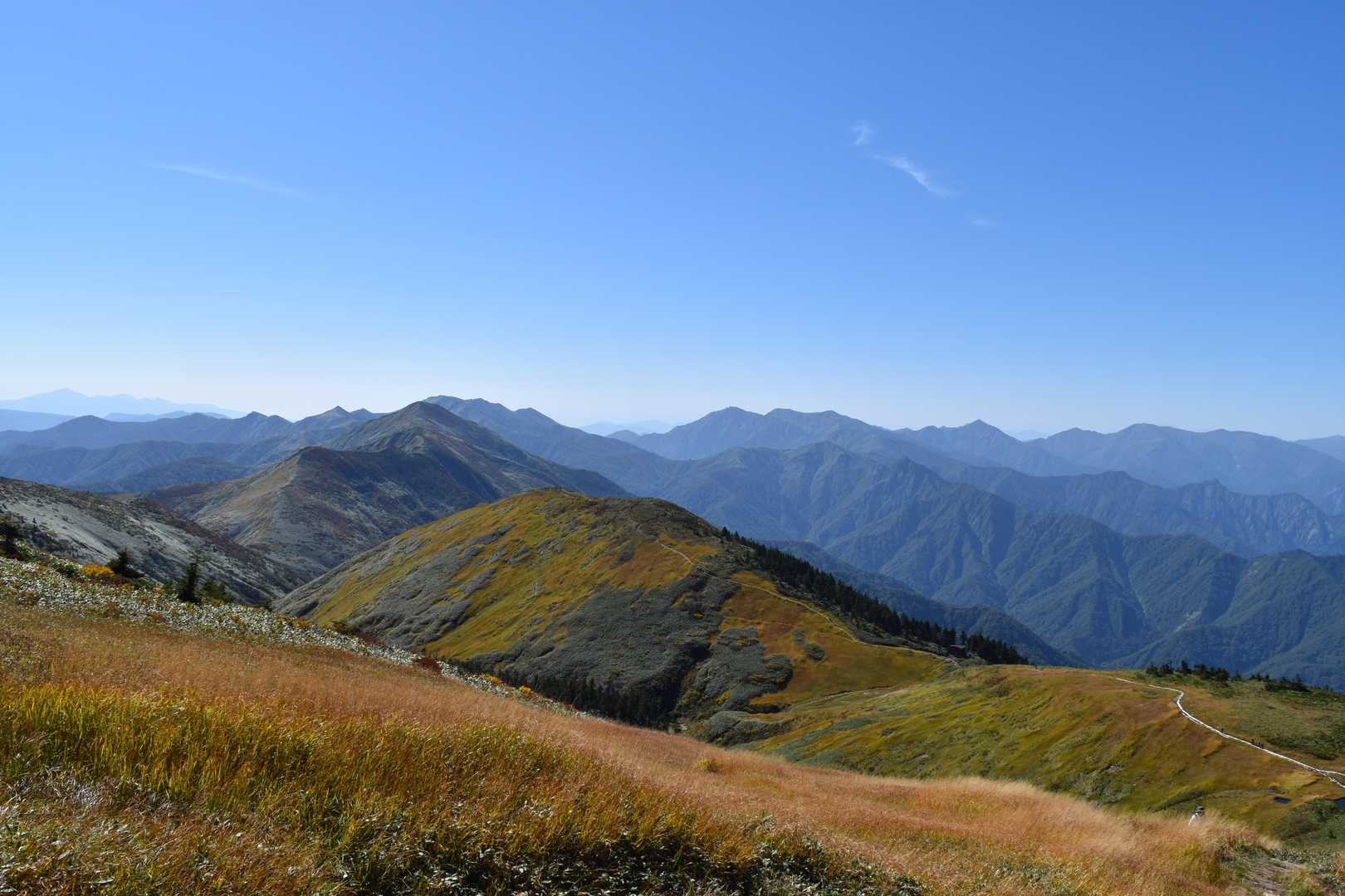 中央少し右の奥が谷川岳