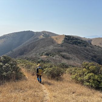 てくてく
天気良いけど、PMやら花粉やら黄砂で霞んでます。