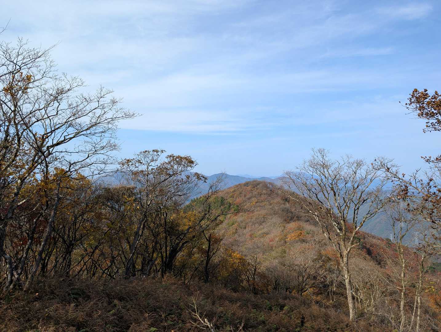 ⛰️三国岳の三角点のあるピークも見えています。
三国岳は山頂(最高点)と三角点が別れており、霊仙山の方面から見ると、猫の耳😸の様に見えるそうです。