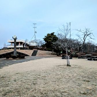 -5℃　霜で真っ白🥶