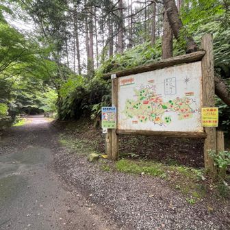 鮎返りの滝方面へ