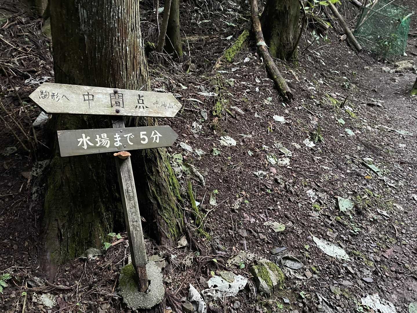 中間点
まだ半分なのぉ💦