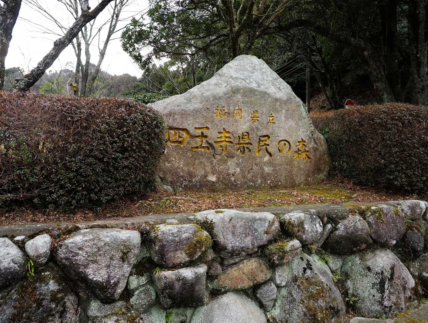 焼米ヶ原登山口-大原山 周回コースの写真