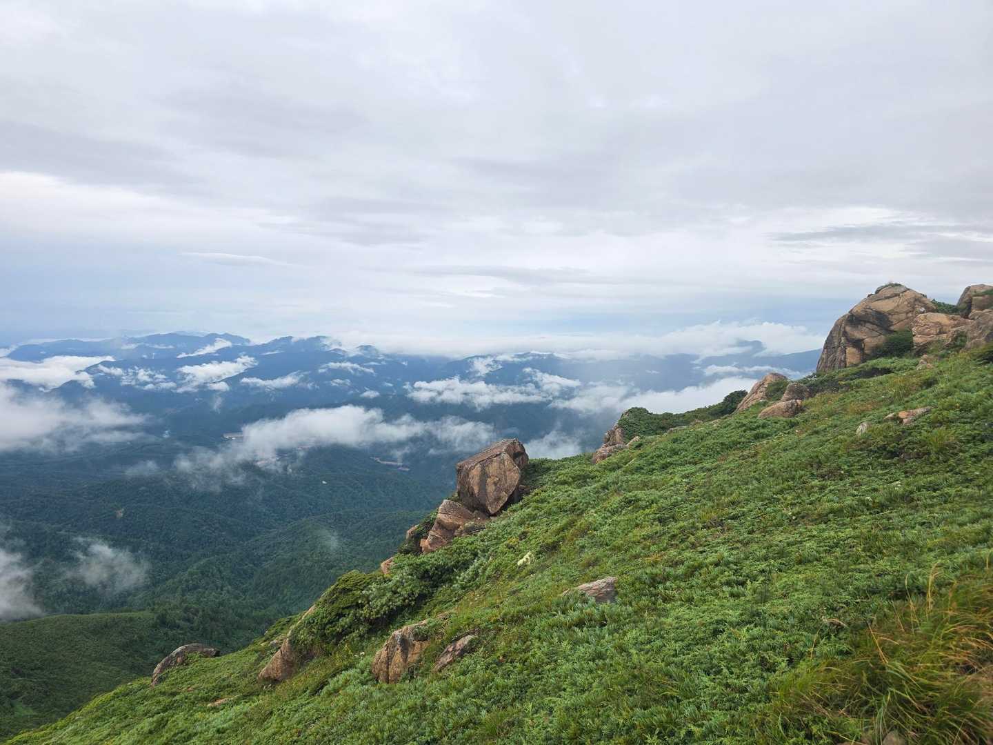 この景色
登って良かった