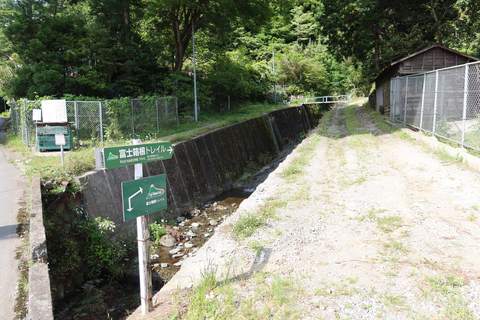 正面から下りてきました
富士箱根トレイルだったんですね
大多数の方は写真の左端から下りてきました