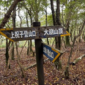 王道の岩の絶景見ながら登った人もここを通る🚶‍♂️