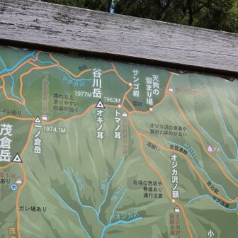 いつまでサンゴ岩なの？