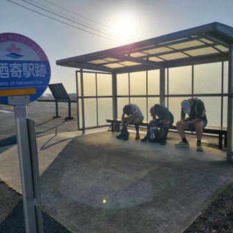 バス停にてDNF…
嘘です！ちゃんと走りました😆