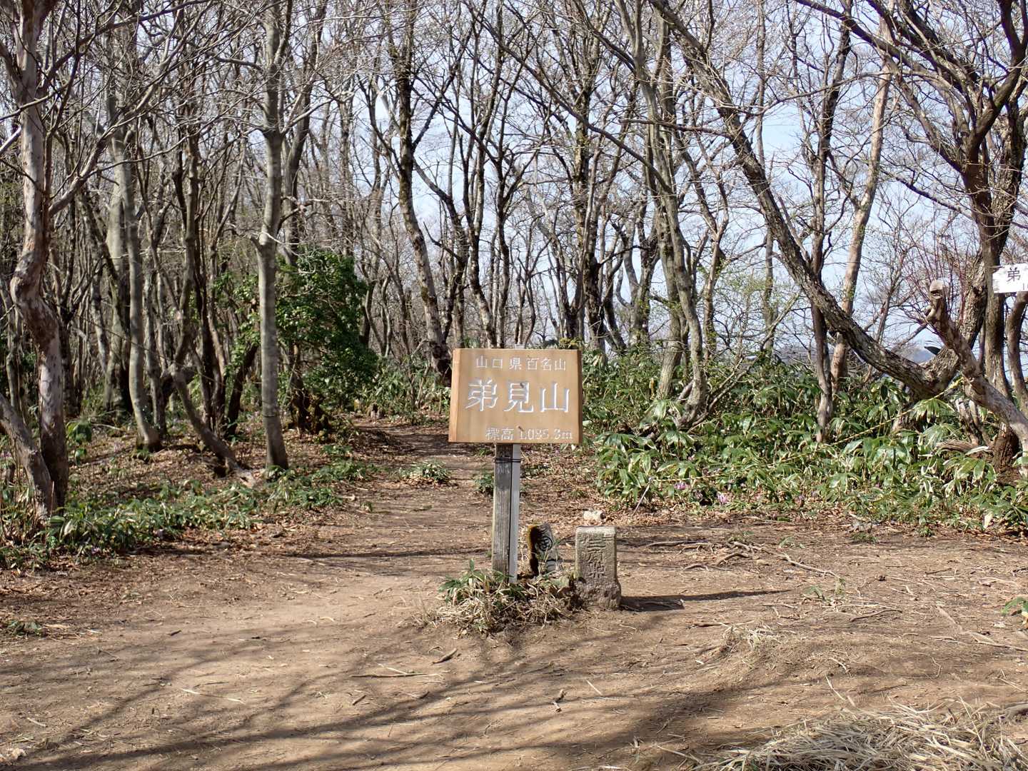 弟見山山頂
プレートが新しくなっていました