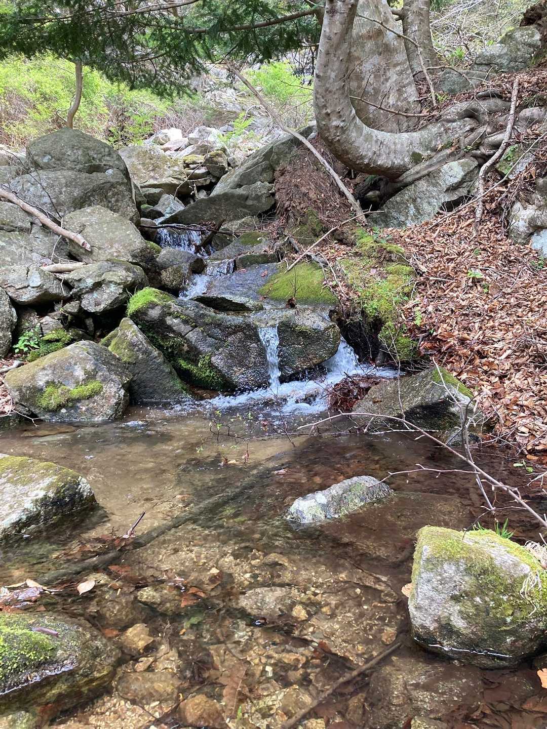 登山道は岩がゴロゴロ。そこを清水がサラサラと流れていい音を奏でます