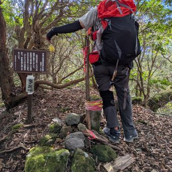 🚩矢筈山にやっと登頂です🙌ヽ(=´▽`=)ﾉ