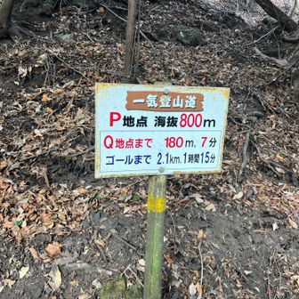 一気登山のための指導標