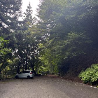 なんと！ここまで車来れるみたい