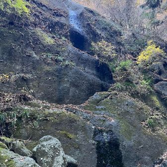 枯れてるし😂 お湿り程度⤵️