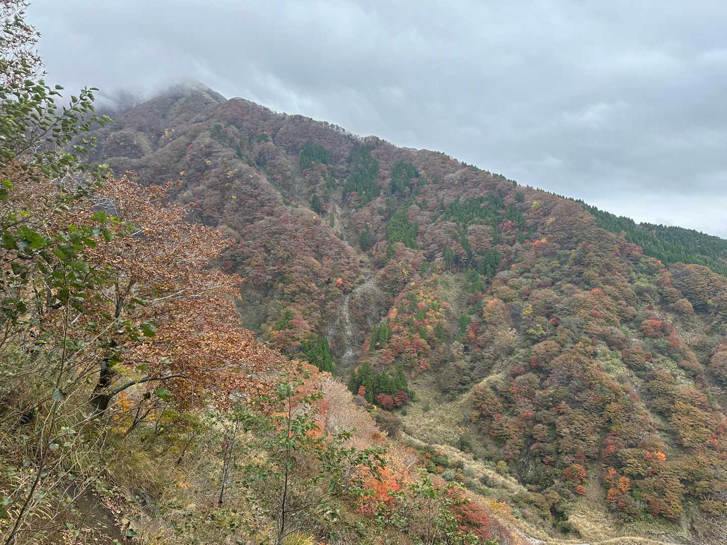 東峰の紅葉🍂
キレイだけど陽の光が欲しい！